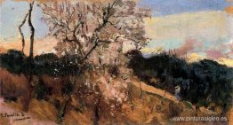 Almendros en Asís Almendros en Asís