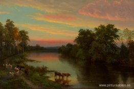 Atardecer con vacas Atardecer con vacas