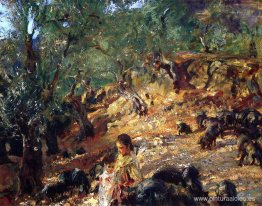 Bosque de Ilex en Mallorca con cerdos azules Bosque de Ilex en Mallorca con cerdos azules