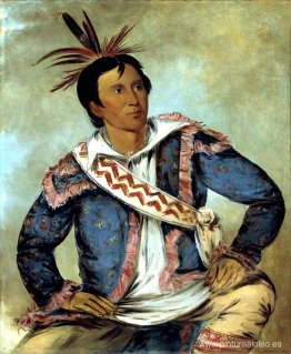 Há-tchoo-túc-knee, tortuga mordedora, mestiza Há-tchoo-túc-knee, tortuga mordedora, mestiza