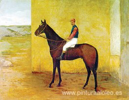 jinete y caballo jinete y caballo