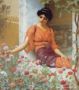 flores de verano flores de verano