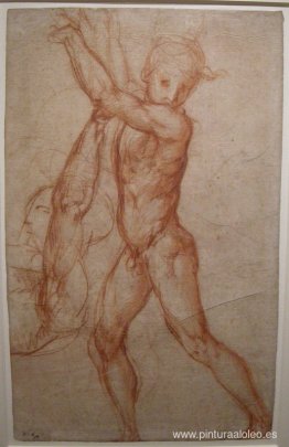 estudio del desnudo estudio del desnudo