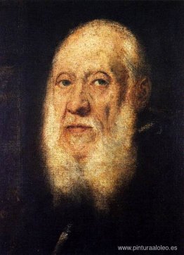 Retrato de Jacopo Sansovino Retrato de Jacopo Sansovino