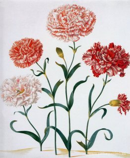 título desconocido título desconocido