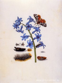 título desconocido título desconocido