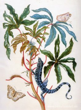 título desconocido título desconocido