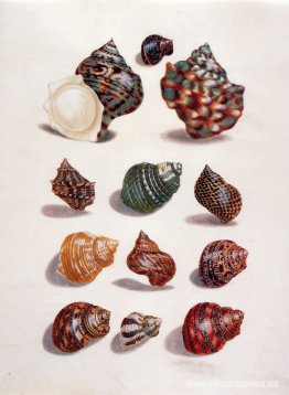 título desconocido título desconocido