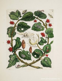 título desconocido título desconocido