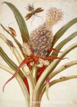 Piña y cucarachas Piña y cucarachas