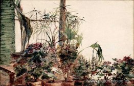 Macetas En Sèvres Macetas En Sèvres