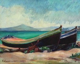 Caoba en Bálcico Caoba en Bálcico