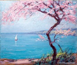 Playa de Biarriz Playa de Biarriz