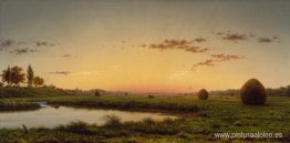 Pajares en las marismas de Newburyport Pajares en las marismas de Newburyport