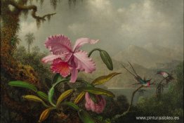 Orquídeas y colibríes Orquídeas y colibríes