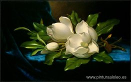 Magnolias gigantes sobre tela de terciopelo azul Magnolias gigantes sobre tela de terciopelo azul