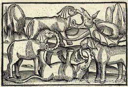 Los peticionarios inconvenientes Los peticionarios inconvenientes