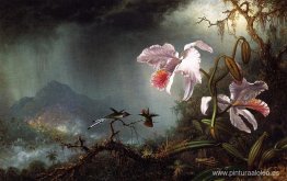 Dos colibríes peleando con dos orquídeas Dos colibríes peleando con dos orquídeas