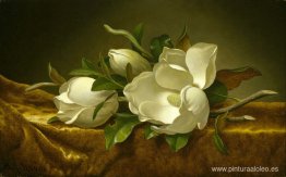Magnolias sobre tela de terciopelo dorado Magnolias sobre tela de terciopelo dorado