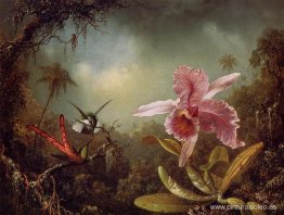 Orquídea con dos colibríes Orquídea con dos colibríes