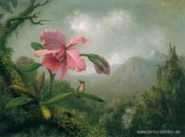 Orquídea y colibrí cerca de una cascada de montaña Orquídea y colibrí cerca de una cascada de montaña