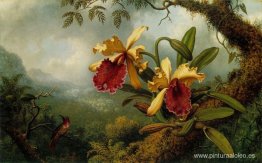 Orquídeas y colibríes Orquídeas y colibríes