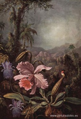 Orquídea y colibrí Orquídea y colibrí