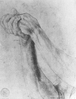 Estudio de la parte superior del brazo Estudio de la parte superior del brazo