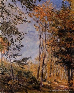 bosque de otoño bosque de otoño