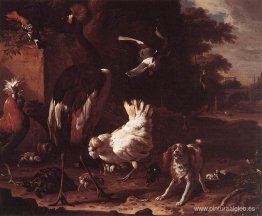 Pájaros y un perro de aguas en un jardín. Pájaros y un perro de aguas en un jardín.