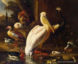 pájaros en un parque pájaros en un parque