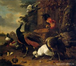 pájaros en un parque pájaros en un parque