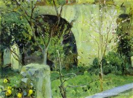 Capri. Almendros en flor. Capri. Almendros en flor.