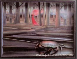 Violación Violación