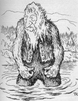 Pato plateado Pato plateado