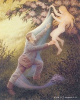 sueño de hadas sueño de hadas