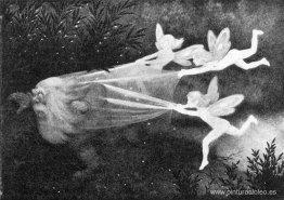 Lysalver Fanger Skyggetussen Lysalver Fanger Skyggetussen