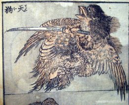 dibujo de un tengu dibujo de un tengu
