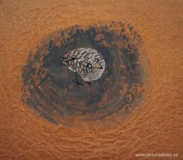 pájaro del espíritu pájaro del espíritu