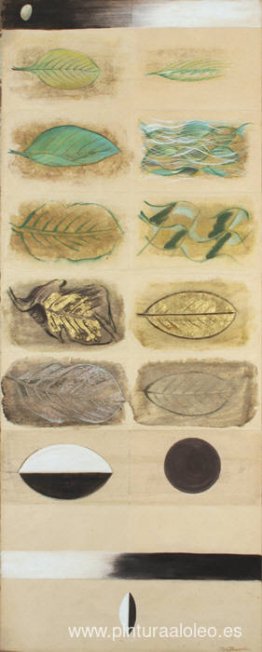 Ciclo de vida de una hoja Ciclo de vida de una hoja
