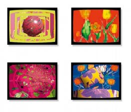 TV-Tulipanes TV-Tulipanes