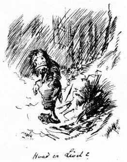 ¿Qué es Divel? ¿Qué es Divel?