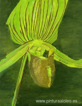 Orquídea Orquídea