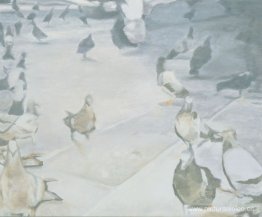 palomas palomas
