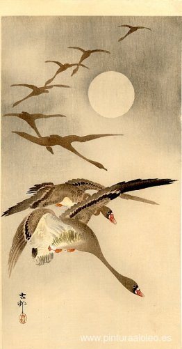 Ocho gansos de frente blanca en vuelo; luna llena detrás Ocho gansos de frente blanca en vuelo; luna llena detrás