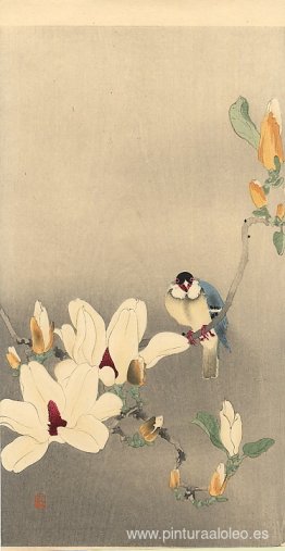 Pájaro Azul y Magnolia Pájaro Azul y Magnolia