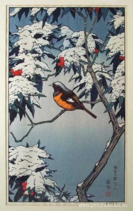 Aves de las estaciones - Invierno Aves de las estaciones - Invierno