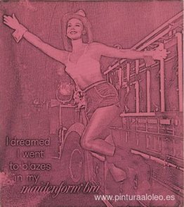 Soñé que me quemaba con mi sujetador Maidenform (rosa) Soñé que me quemaba con mi sujetador Maidenform (rosa)