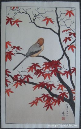 Aves de las estaciones - Otoño Aves de las estaciones - Otoño