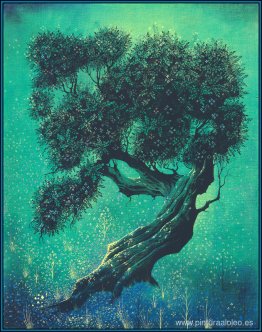 Bonsái solitario Bonsái solitario